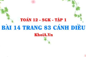 Bài 14 trang 83 Toán 12 tập 1 Cánh Diều